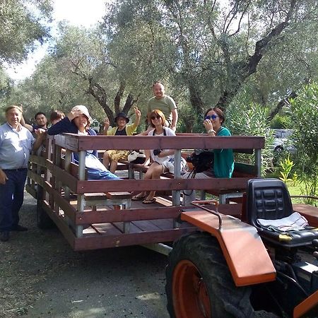 Agriturismo Il Maresciallo Villa Cariati Eksteriør bilde