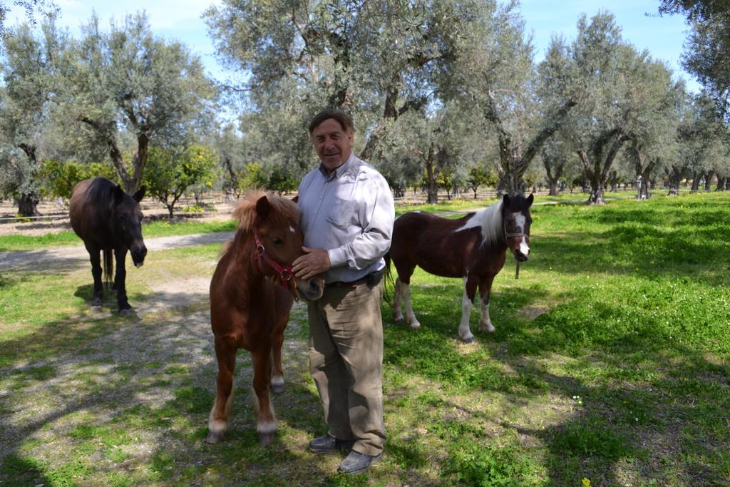 Agriturismo Il Maresciallo Villa Cariati Eksteriør bilde